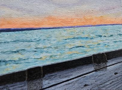 Albufera 46